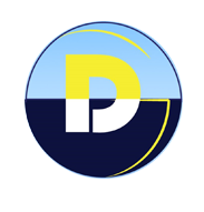Logo Dude Store